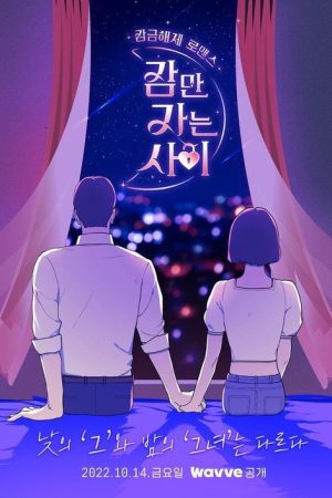 Sleeping Only Relationship (2022) poster