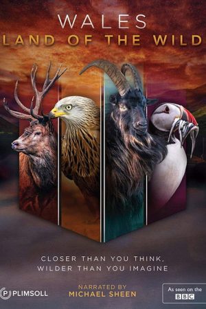 Wales: Land of the Wild (2019) poster