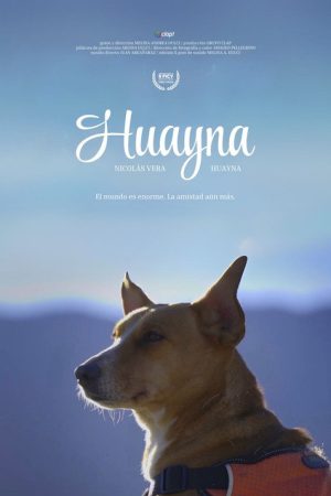 Huayna (2020) poster