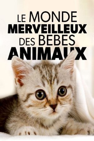 Le monde merveilleux des bébés animaux (2020) poster