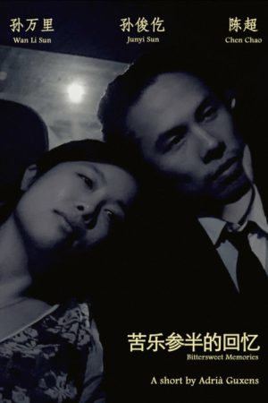 Bittersweet Memories (2016) poster