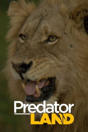 Predator Land (2019) poster