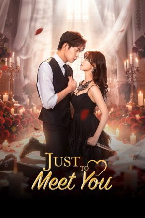 Just to Meet You (2026) poster