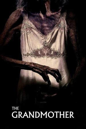 The Grandmother (2022) poster