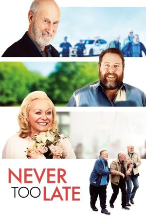 Never Too Late (2020) poster
