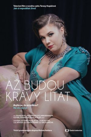 Jak si nepodělat život (2019) poster