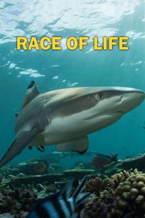 Race of life (2016) poster