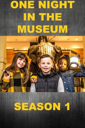 One Night in the Museum (2020) poster