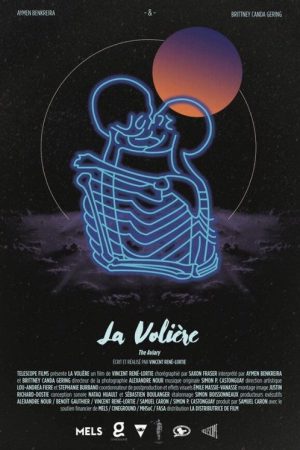 The Aviary (2017) poster