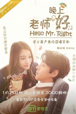 Hello Mr. Right (2016) poster