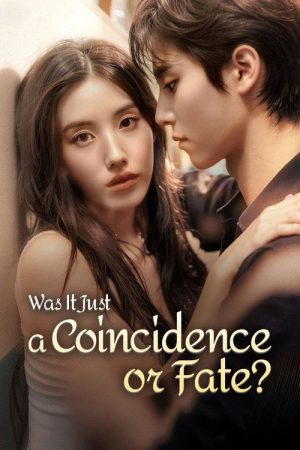 Was It Just a Coincidence… or Fate? (2025) poster