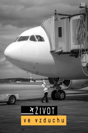 Život ve vzduchu (2017) poster