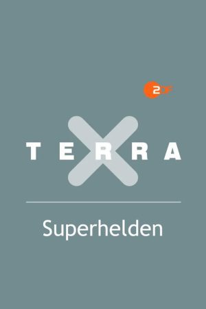 Superhelden (2017) poster