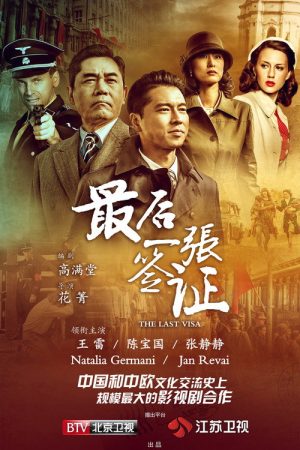 The Last Visa (2017) poster