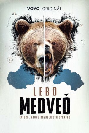 Lebo medveď (2025) poster