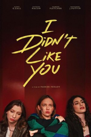 I Didn’t Like You (2026) poster