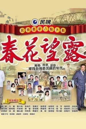 春花望露 (2016) poster