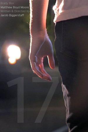 17 (2022) poster