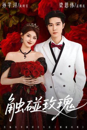 触碰玫瑰 (2026) poster