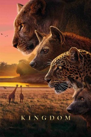 Kingdom (2025) poster