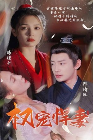 权宠悍妻 (2023) poster