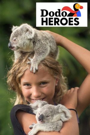 Dodo Heroes (2018) poster