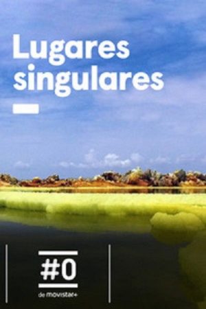 Lugares singulares (2017) poster
