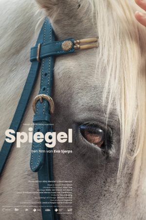 Spiegel (2023) poster