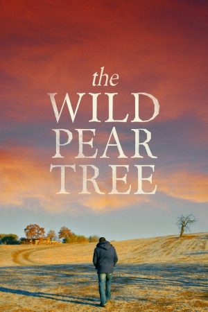 The Wild Pear Tree (2018) poster