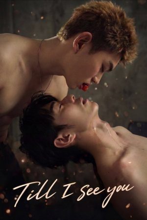 Till I See You (2026) poster