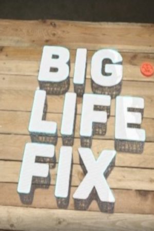Big Life Fix (2020) poster