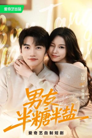 男友半糖半盐 (2026) poster