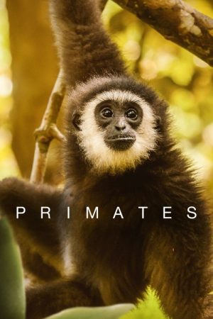 Primates (2020) poster