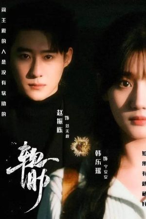 软肋 (2026) poster