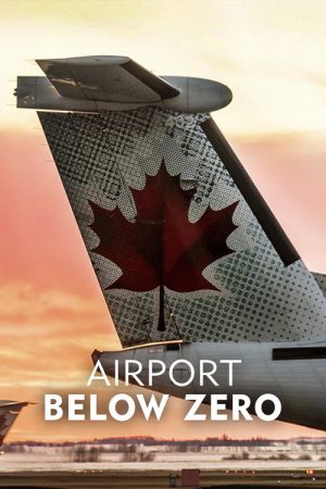 Airport: Below Zero (2016) poster