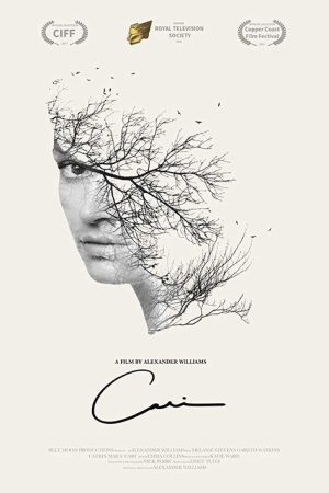 Cari (2018) poster