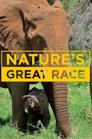 Nature’s Epic Journeys (2017) poster
