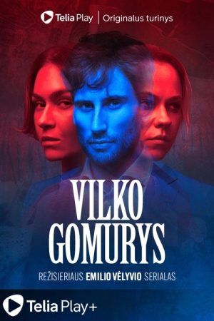 Vilko gomurys (2025) poster