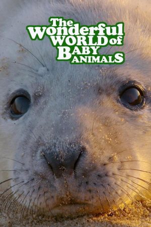 The Wonderful World of Baby Animals (2019) poster
