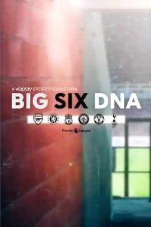 Big Six DNA (2022) poster