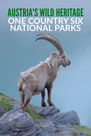 Austria’s Wild Heritage – One Country Six National Parks (2023) poster