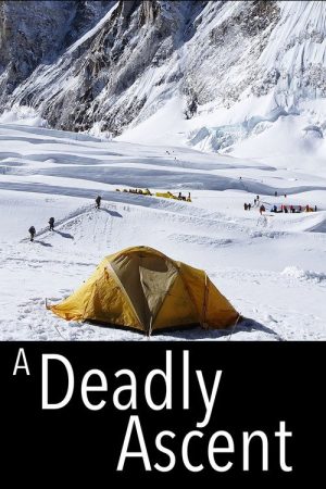 Everest: A deadly Ascent (2021) poster