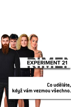Experiment 21 (2020) poster