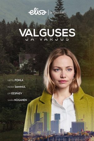 Valguses ja varjus (2020) poster