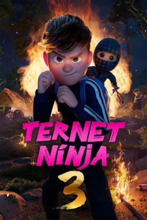 Checkered Ninja 3 (2026) poster