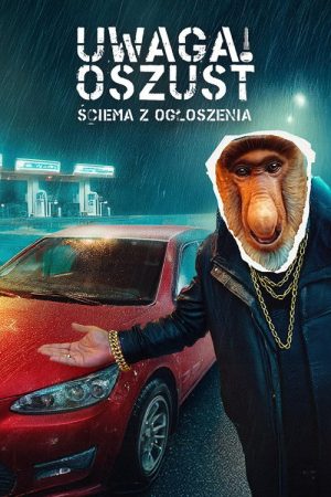 Uwaga! oszust: Ściema z ogłoszenia (2026) poster
