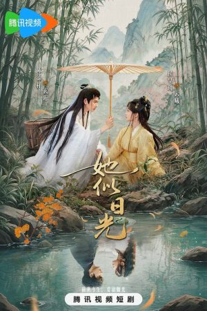 她似日光 (2026) poster