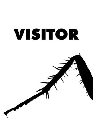 Visitor (2026) poster