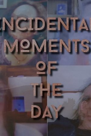 Incidental Moments of the Day (2020) poster
