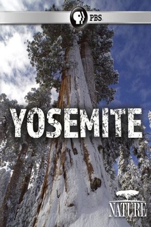 Nature: Yosemite (2017) poster